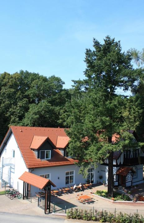 Hotel Zur Waldhufe Doberlug-Kirchhain Exteriör bild